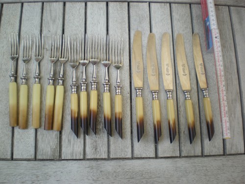 Cutlery antique horn - look, fine